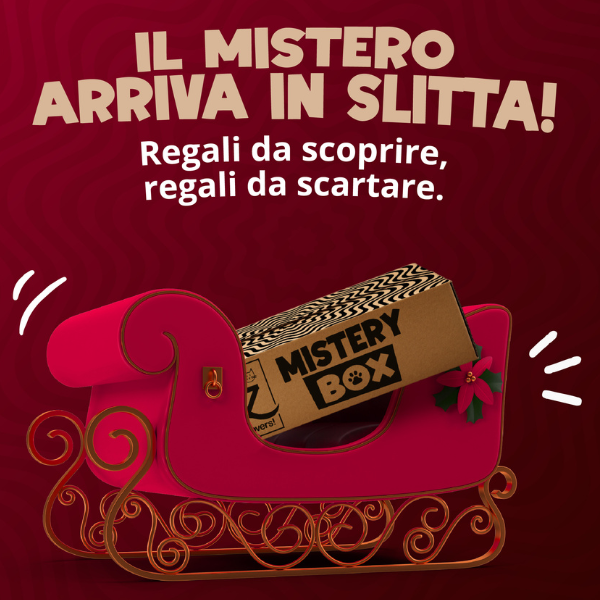 xmas bauzaar mistery box immagine3