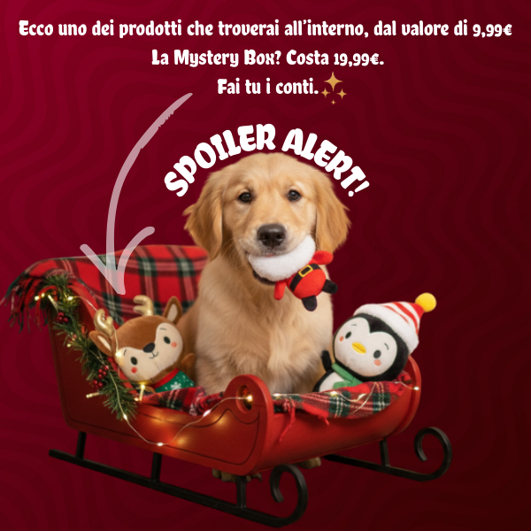 xmas bauzaar mistery box immagine5