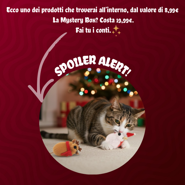 xmas bauzaar mistery box immagine6