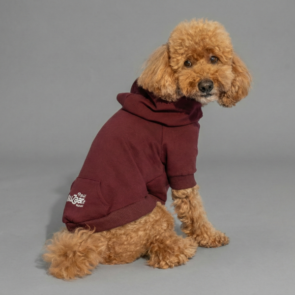 Felpa per cani mono colorazione Bordeaux Bauzaar