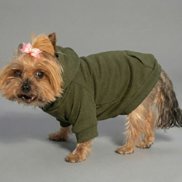 Felpa per cani mono colorazione Verde muschio Bauzaar