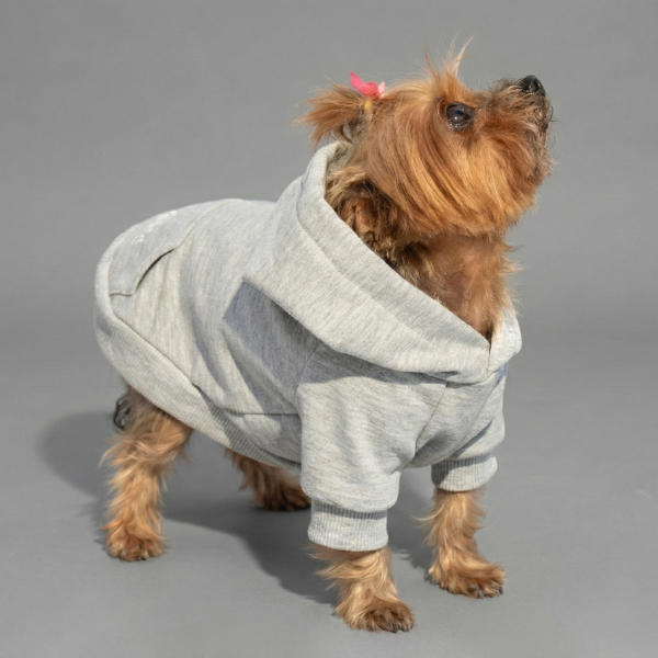 Felpa per cani mono colorazione Grigio Bauzaar