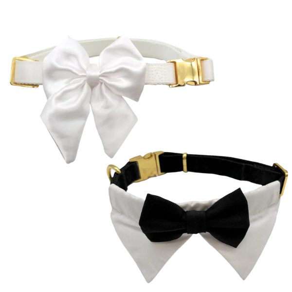 collare per cani da cerimonia team bride croci ceremony immagine2