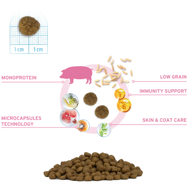 forza10 monodiet mini adult low grain hypoallergenic maiale con patate immagine4