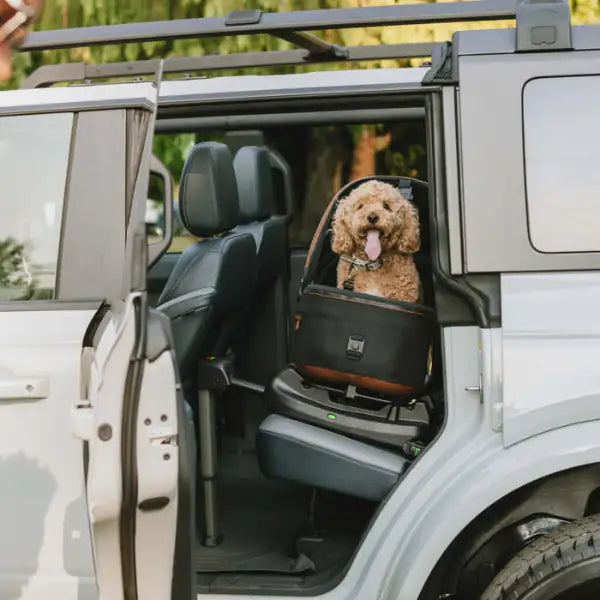 seggiolino auto per animali con sistema di protezione maeve tavo immagine10
