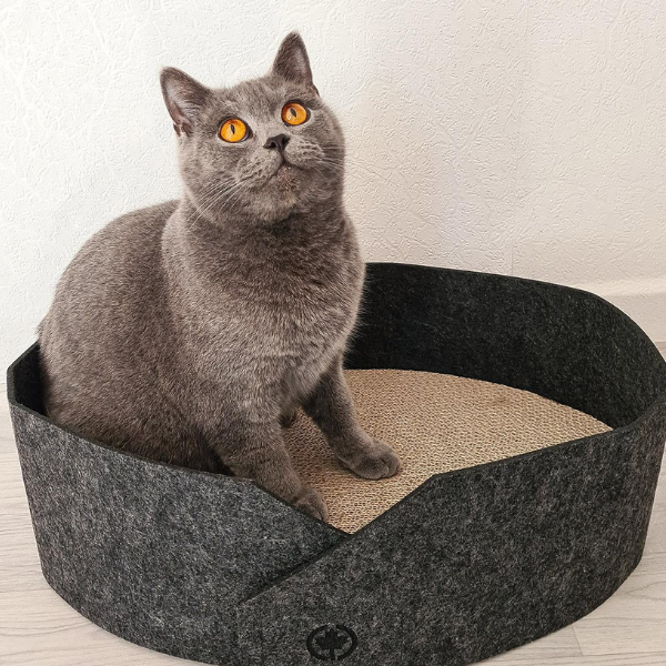 Cuccia per gatti in feltro con fondo tiragraffi in cartone Owen CanadianCat - Antracite