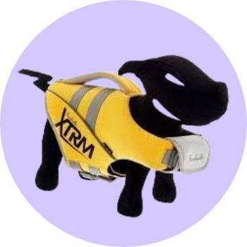 Salvagente per cani