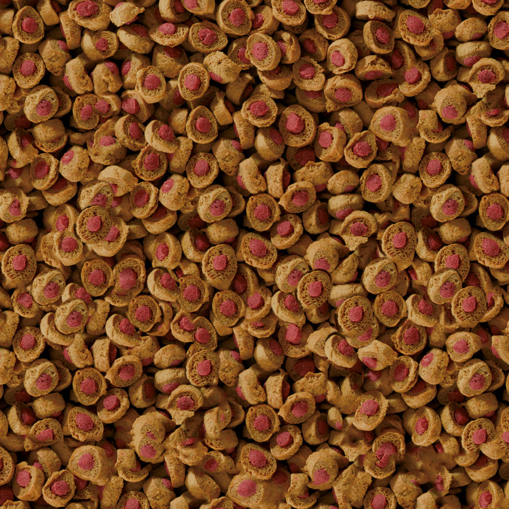 sera reptil professional carnivor immagine2