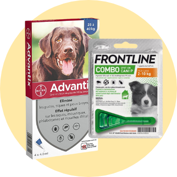 Spot-on e pipette per cani