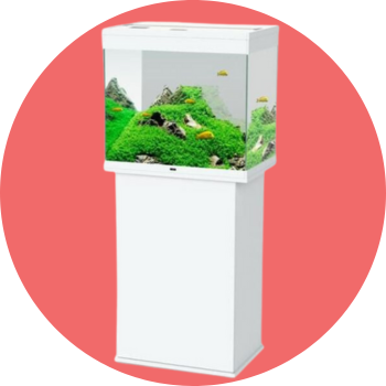 Supporto per acquari