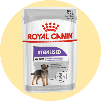 Cibo umido per cani sterilizzati