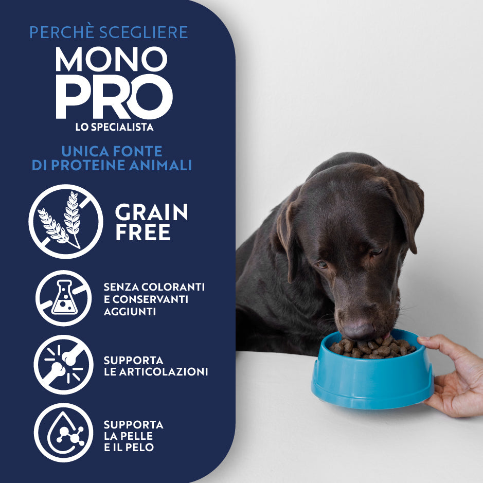 monopro lo specialista adult medium/large grain free pollo immagine8