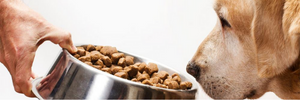alimenti monoproteici, cosa sono e quando utilizzarli