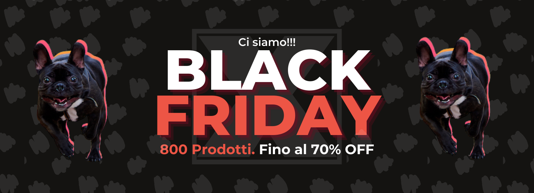 Black Friday Cani Black Friday Cani