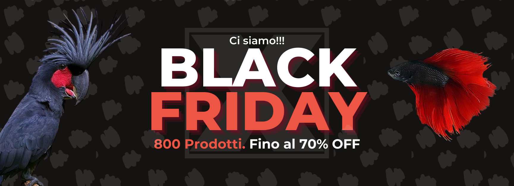 Black Friday Altri Animali Black Friday Altri Animali