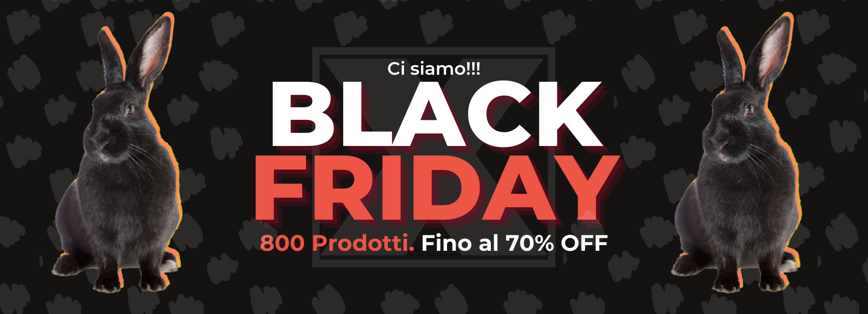 Black Friday Roditori Black Friday Roditori
