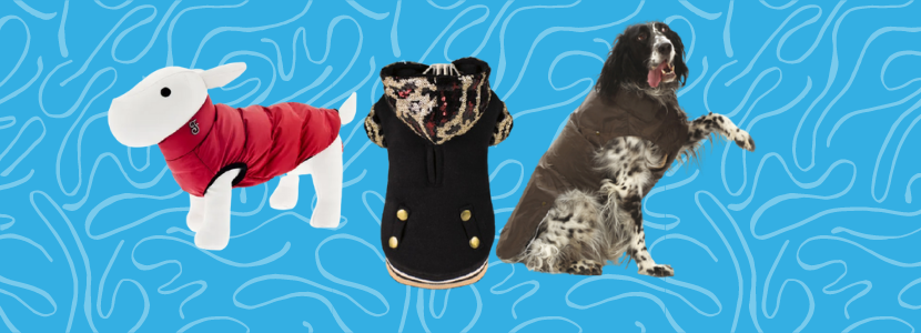 Abbigliamento per cani Abbigliamento per cani