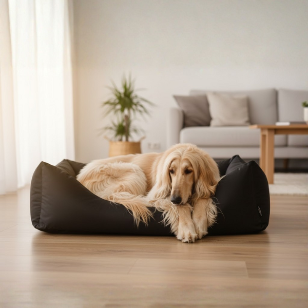 Nasonero Divano tecnico sfoderabile impermeabile