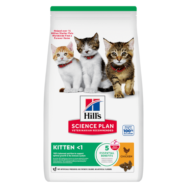 Hill's Science Plan Kitten Alimento per gattini con Pollo