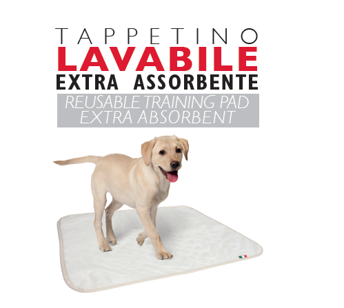 Tappetino Lavabile Fabotex 70x40 cm