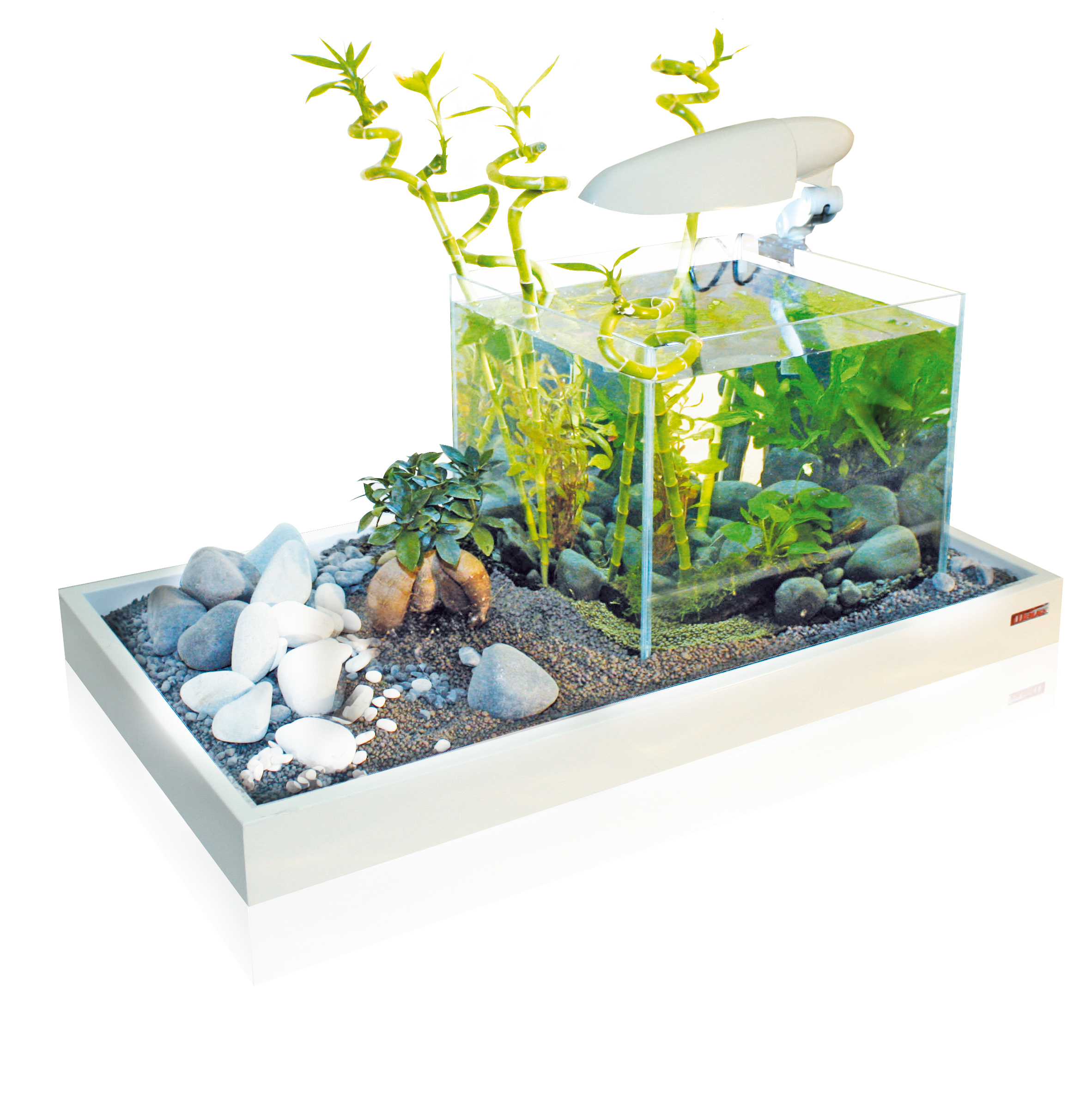 Acquario Zen Artist Amtra