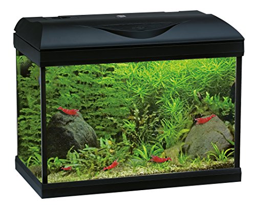 Acquario Riviera 40 Led Amtra