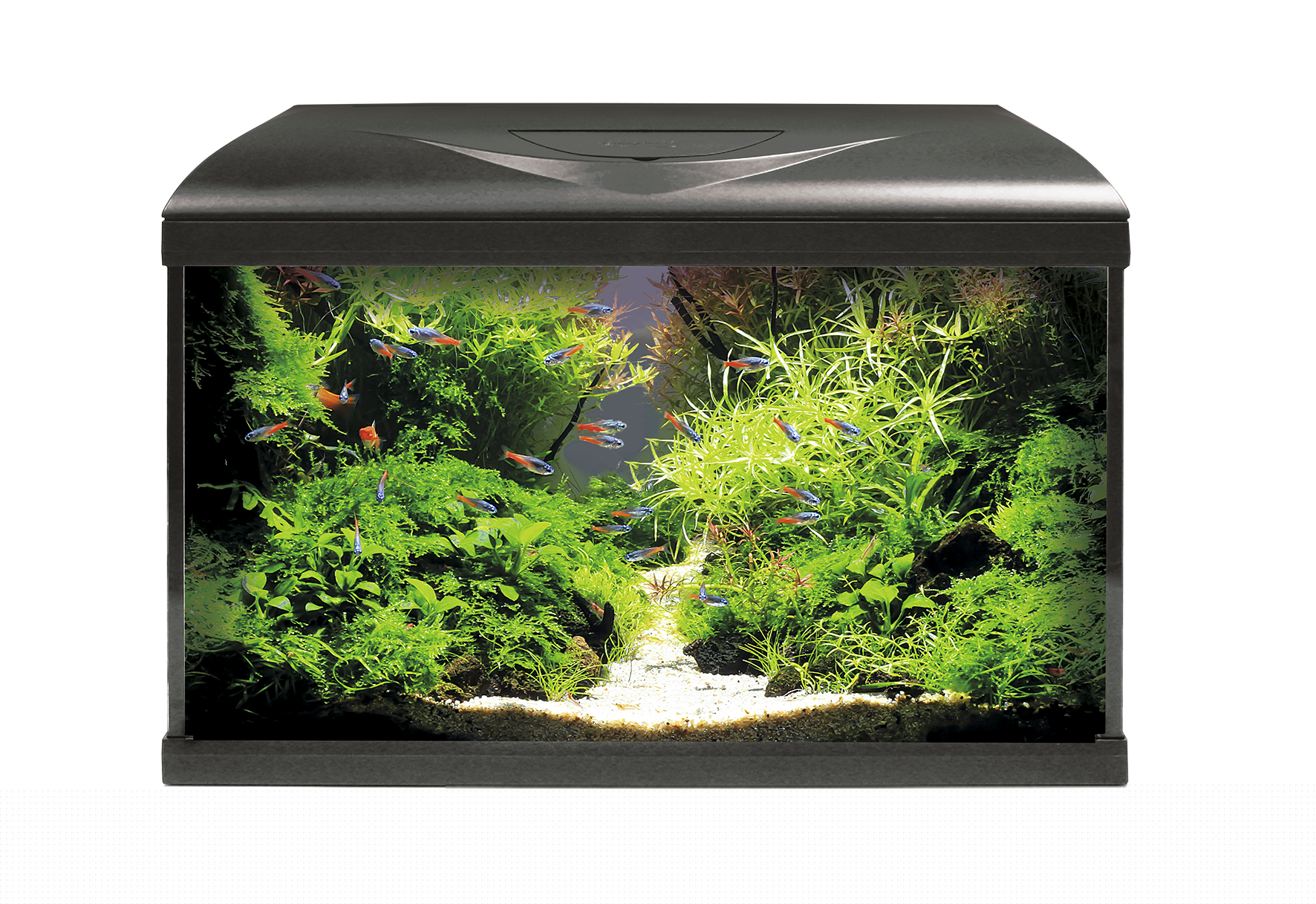 Acquario Amtra System completo Nero - 60