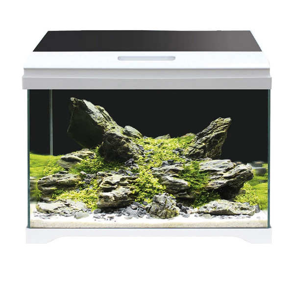 Image of Acquario Modern Tank Amtra - 40 LED