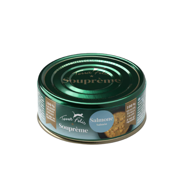 Terra Felis Souprème Zuppa Gourmet cremosa per gatti Grain Free 85 gr - Salmone - Confezione da 12 pezzi - 1° ORDINE? scegli tra BZR5 / BZR20 + 200 pt fedeltà