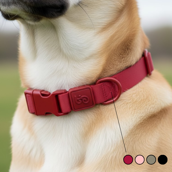 Ferribiella Suprema Collare regolabile con fibbia