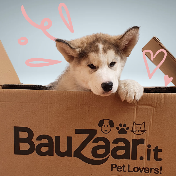 Puppy Bundle il necessario per cuccioli