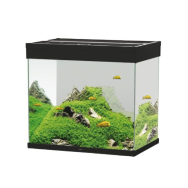 Immagine di Acquario Ciano Emotions Nature Pro 60 Askoll - nero - 61,2 x 40,2 x h 56