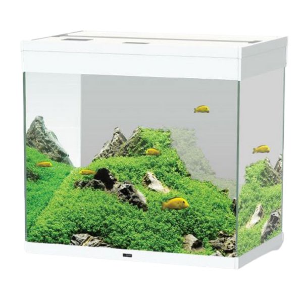 Image of Acquario Ciano Emotions Nature Pro 60 Askoll - bianco - 61,2 x 40,2 x h 56