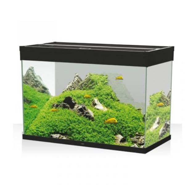 Image of Acquario Ciano Emotions Nature Pro 80 Askoll - nero - 81,2 x 40,2 x h 56