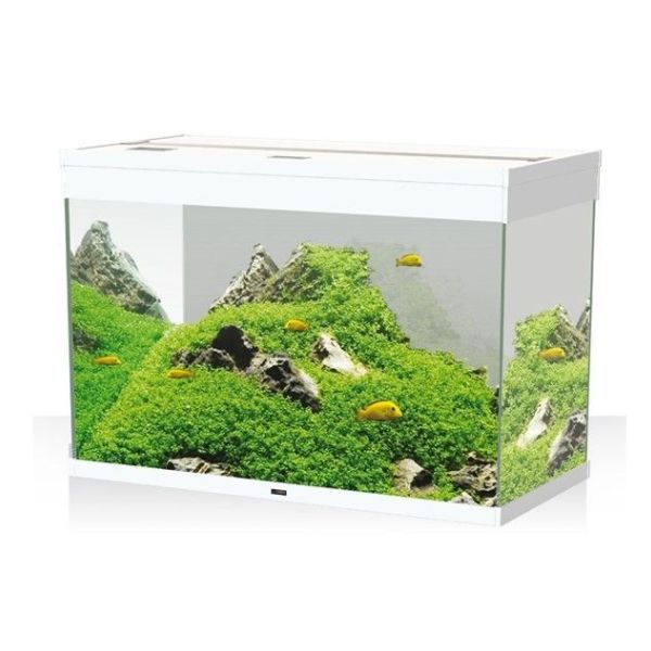 Image of Acquario Ciano Emotions Nature Pro 80 Askoll - bianco - 81,2 x 40,2 x h 56