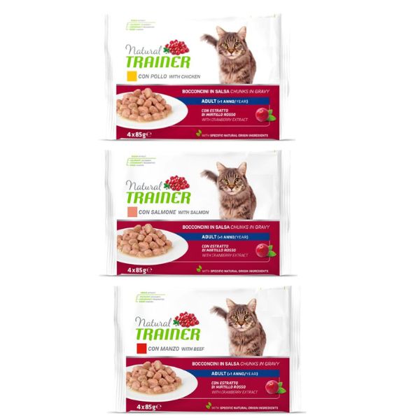 Cibo - Natural Trainer Flowpack Adult (4x85 gr)