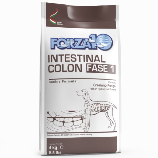 Image of Forza10 Active Cane Intestinal Colon Fase 1 - 4 kg Croccantini per cani