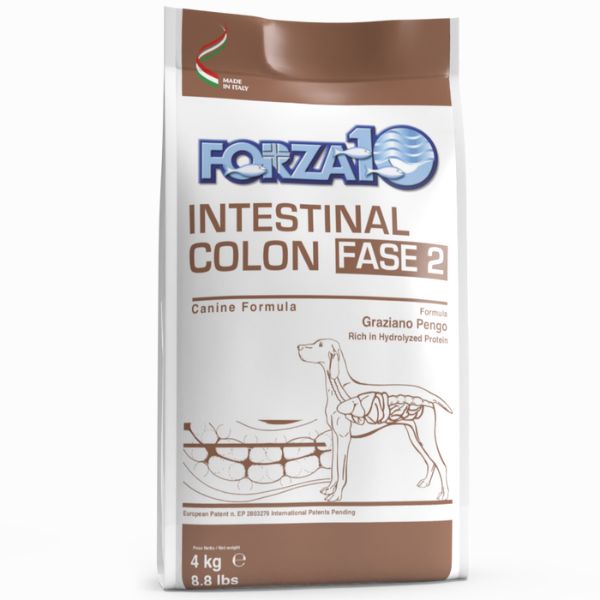 Image of Forza10 Active Cane Intestinal Colon Fase 2 - 4 kg Croccantini per cani
