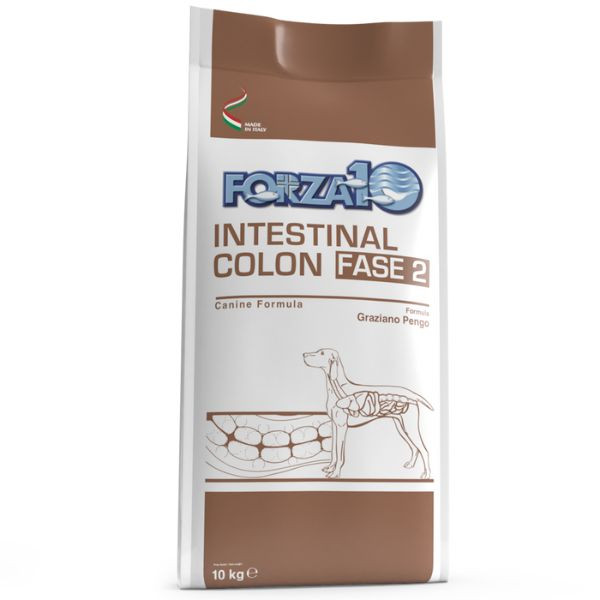 Image of Forza10 Active Cane Intestinal Colon Fase 2 - 10 Kg Croccantini per cani