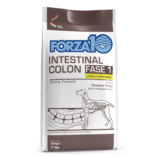 Image of Forza10 Active Cane Intestinal Colon Fase 1 con Agnello e Sorgo bianco - 10 Kg Croccantini per cani