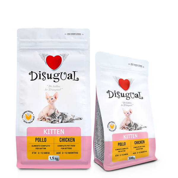 Disugual Kitten Pollo