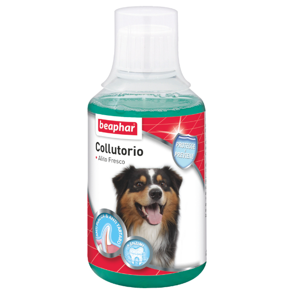 Beaphar Collutorio