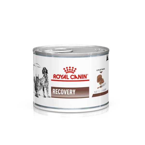 Royal Canin Veterinary Diet Recovery Cats/Dogs - 195 gr - 1° ORDINE? scegli lo sconto BZR5 / BZR20 + 200 punti fedeltà