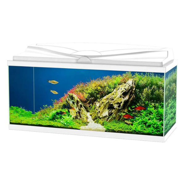 Aquario Aqua 80 Led Askoll - Bianco - 80 x 30 x 41,5 - SPEDIZIONE GRATIS 1° ORDINE + scegli lo sconto BZR5 / BZR20