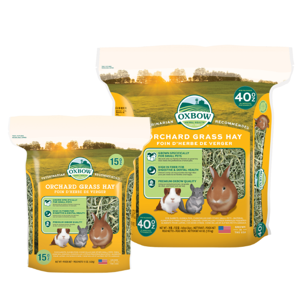 Oxbow Orchard Grass Hay 