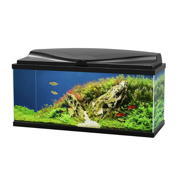 Aquario Aqua 80 Led Askoll - Nero - 80 x 30 x 41,5 - 1° ORDINE? scegli lo sconto BZR5 / BZR20 + 200 punti fedeltà