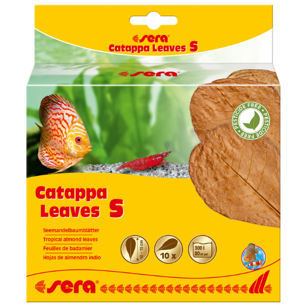 Sera Catappa Leaves foglie di mandorlo indiano per il trattamento acque - S - 1° ORDINE? scegli lo sconto BZR5 / BZR20 + 200 punti fedeltà