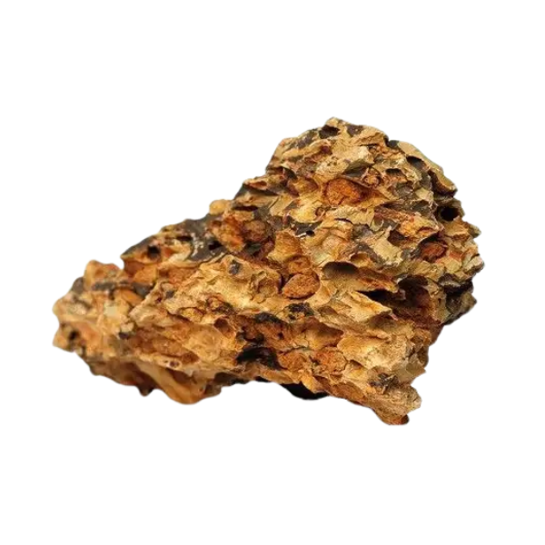 Aquadeco Roccia Naturale decorativa per Acquari e Terrari - dragon stone s - 1° ORDINE? scegli lo sconto BZR5 / BZR20 + 200 punti fedeltà