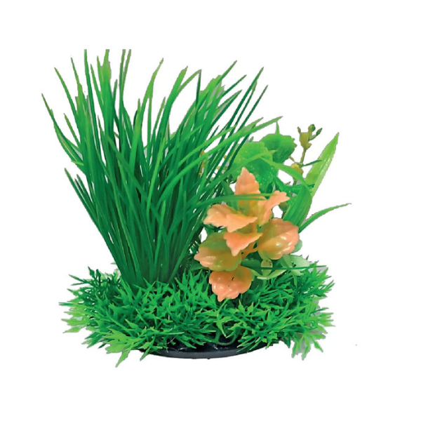 Blu Bios Dekor pianta decorativa per acquari - tropical mix - 1° ORDINE? scegli lo sconto BZR5 / BZR20 + 200 punti fedeltà
