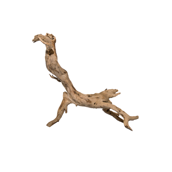 Acquadeco Legno decorativo per acquari e terrari - talawa wood m - 1° ORDINE? scegli lo sconto BZR5 / BZR20 + 200 punti fedeltà